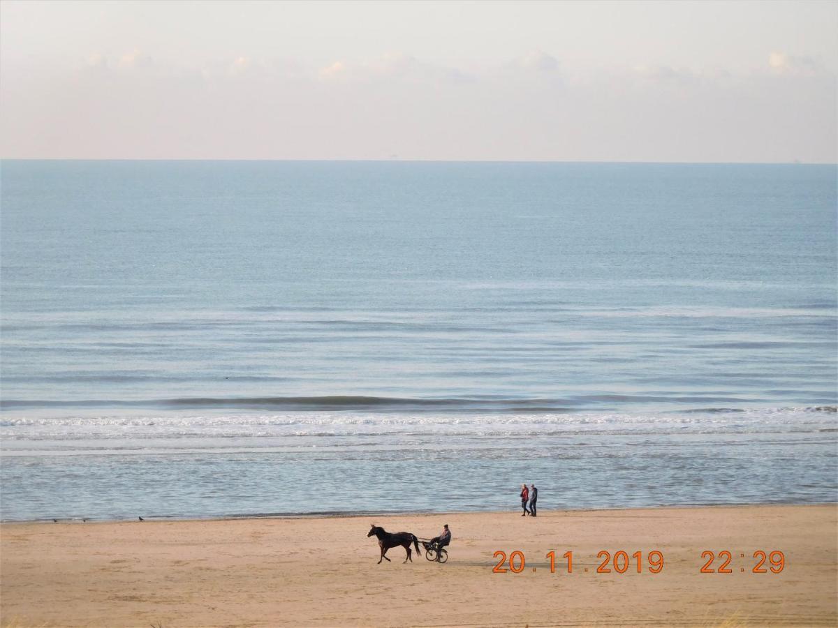 Strandhuis Эгмонд-ан-Зее Экстерьер фото